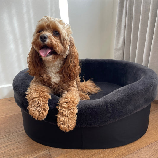 PRE SALE: 100% NATURAL SHEEP FLEECE DOG BED